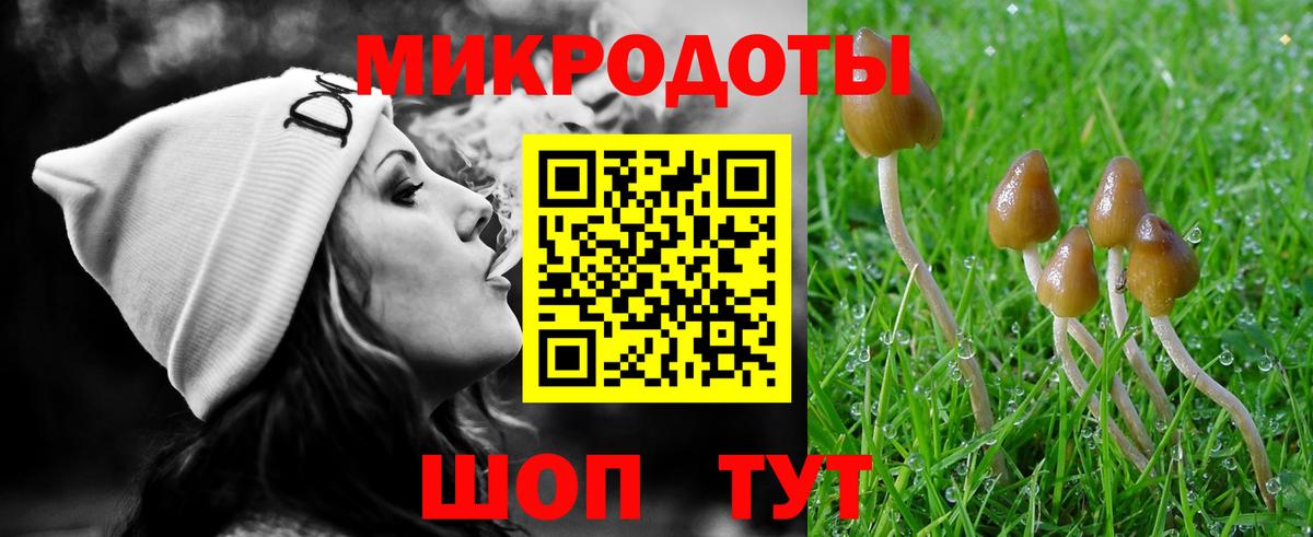 Псилоцибиновые грибы ЛСД Вязники